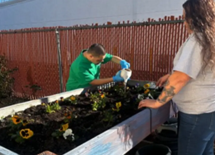 Andrew and Lisa working in the garden.