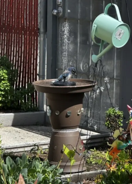 garden art with a bluebay bathing in a bird bath.